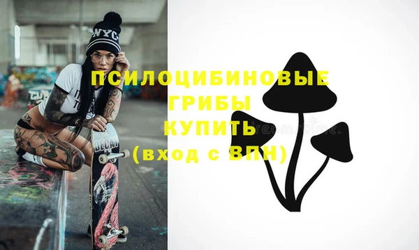 ECSTASY Балахна