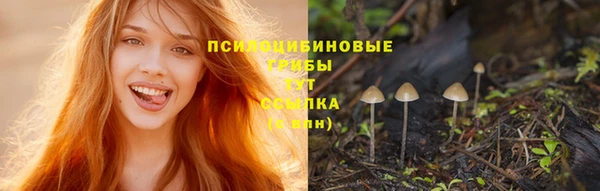 ECSTASY Балахна
