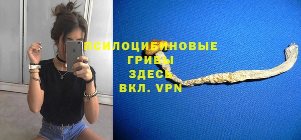 шишки Баксан