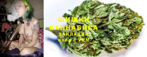шишки Баксан