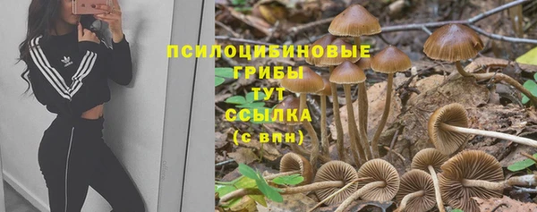 spice Карпинск