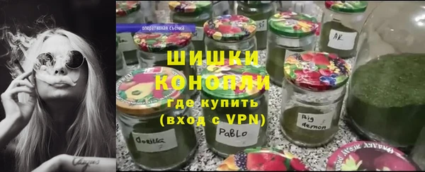 шишки Баксан