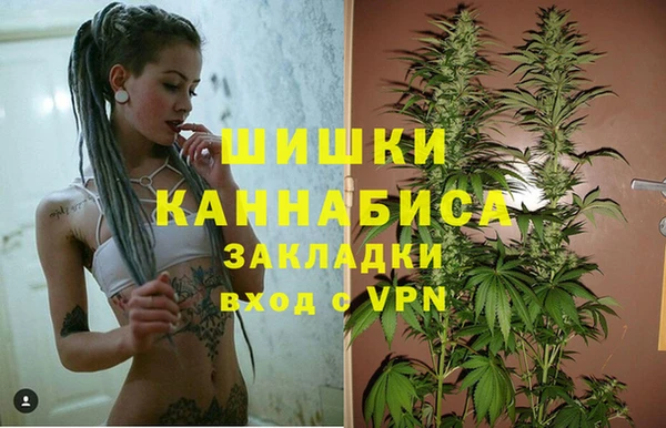 шишки Баксан