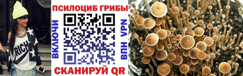 наркота  Короча  Галлюциногенные грибы Psilocybe 